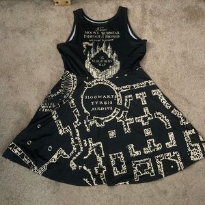 I solemnly swear I am up to no good